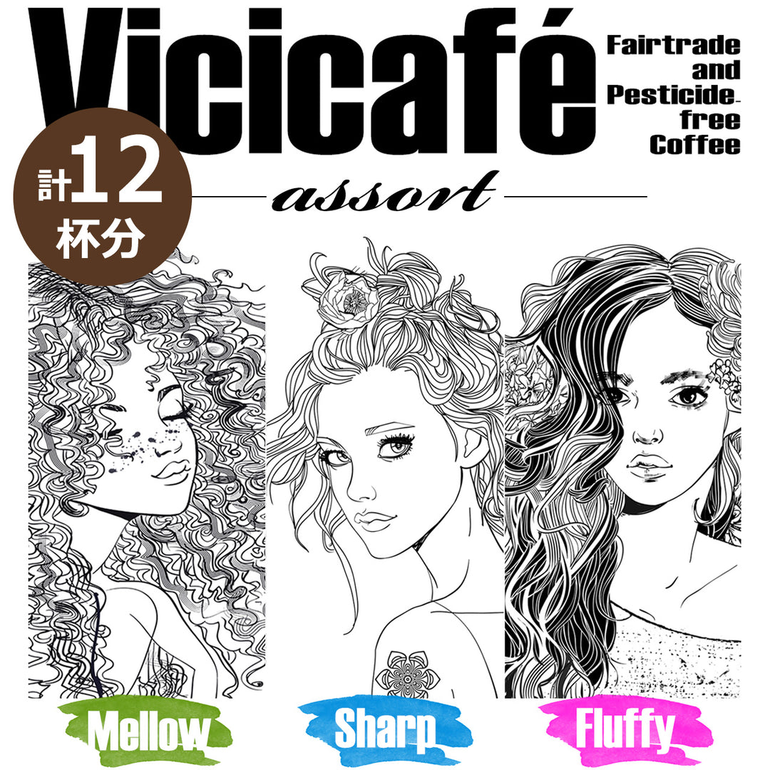 Vicicafé〈3種アソート〉ドリップバッグ【12杯分】 - ビチクロ